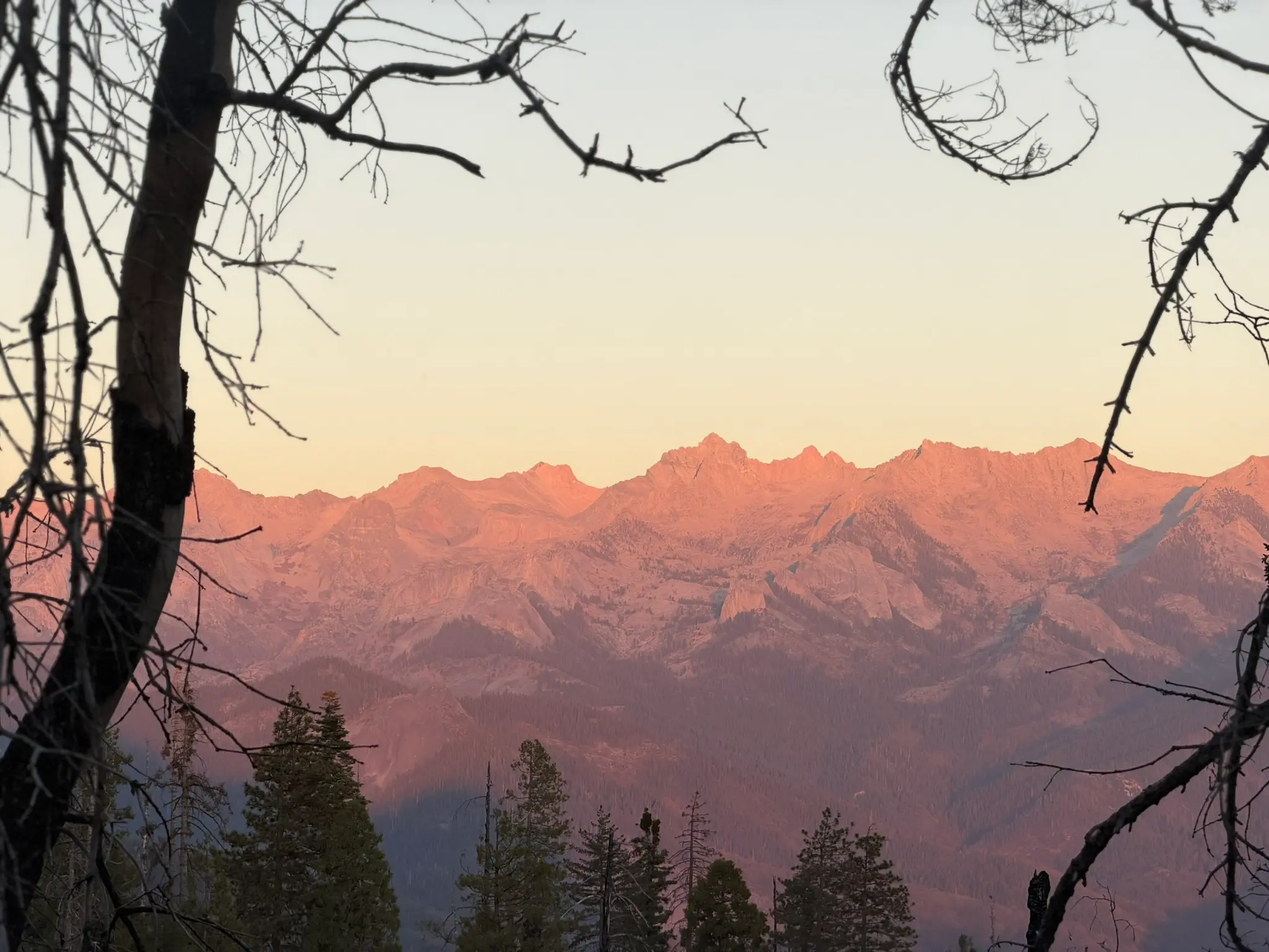 Sequoia National Park